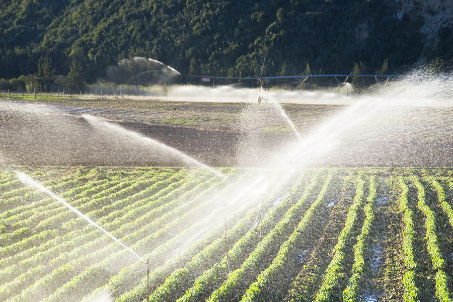 Automatyzacja rolnictwa