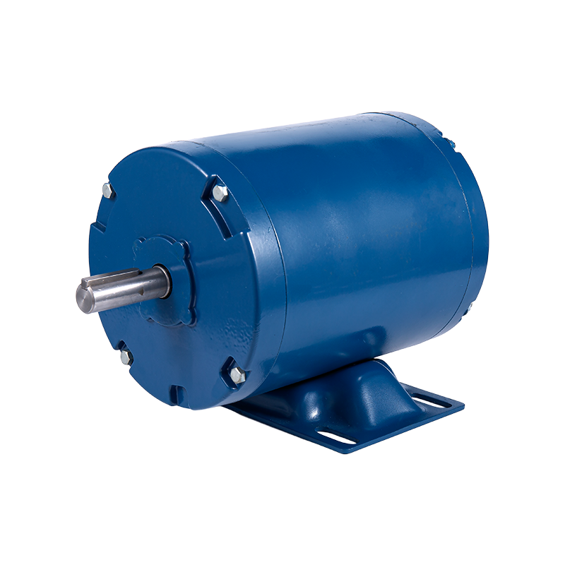 Jednofazowy elektryczny silnik indukcyjny dużej mocy Y286145